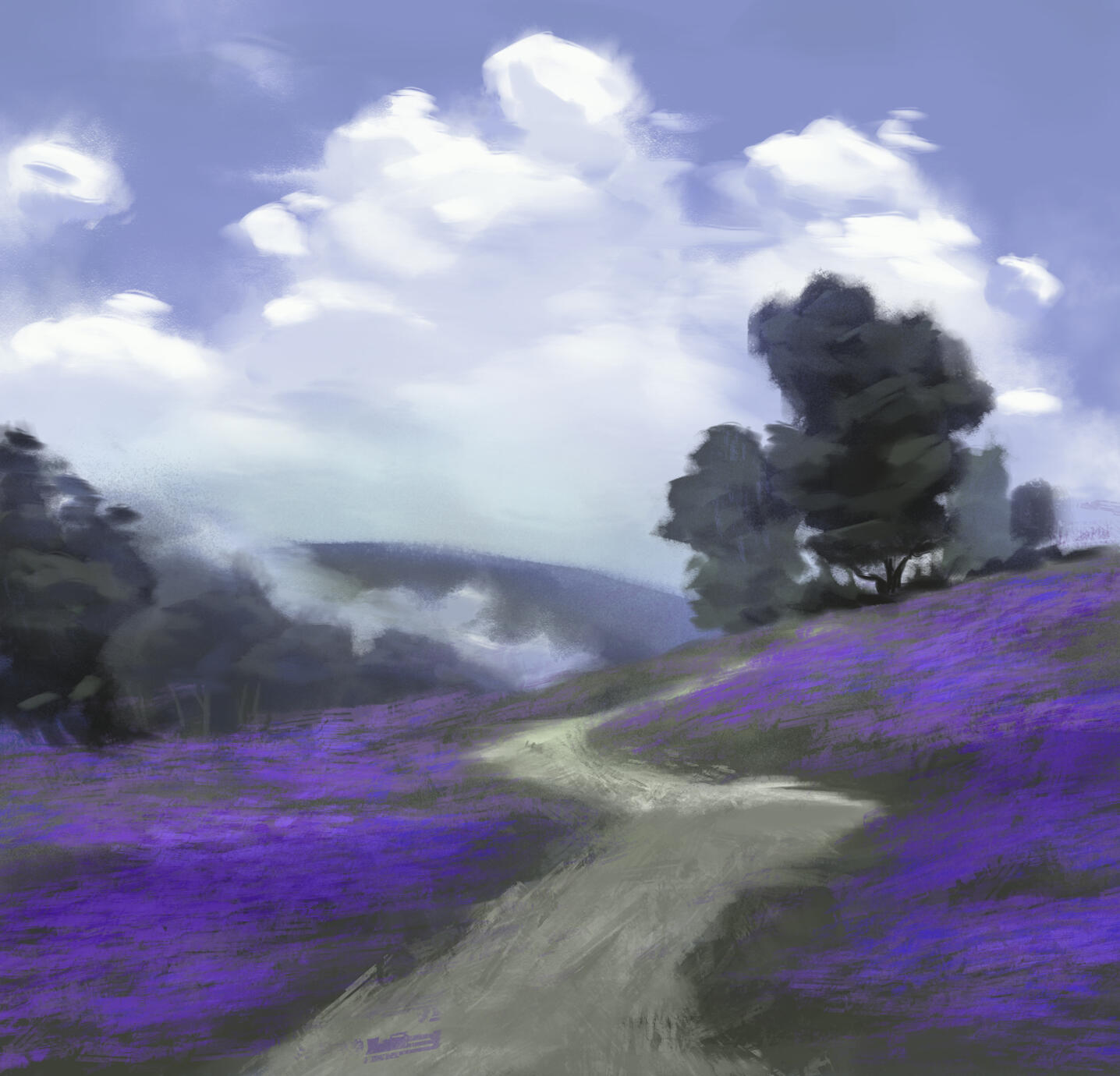 Environment Illustration